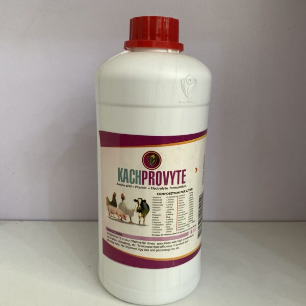 KACHPROVYTE 1L